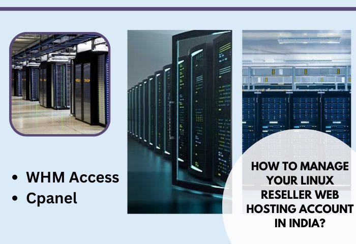 How to Manage Your Linux Reseller Web Hosting Account in India