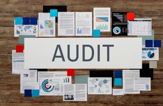 Audit Management Services